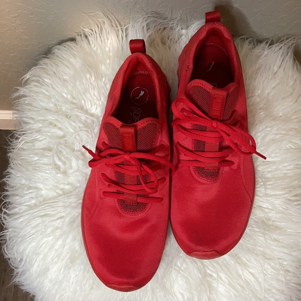 Red Puma - Picture 2 of 6